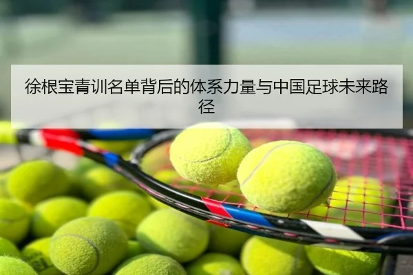 徐根宝青训名单背后的体系力量与中国足球未来路径