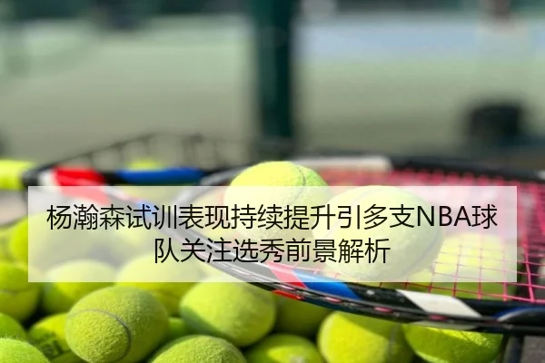 杨瀚森试训表现持续提升引多支NBA球队关注选秀前景解析