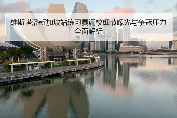 维斯塔潘新加坡站练习赛调校细节曝光与争冠压力全面解析